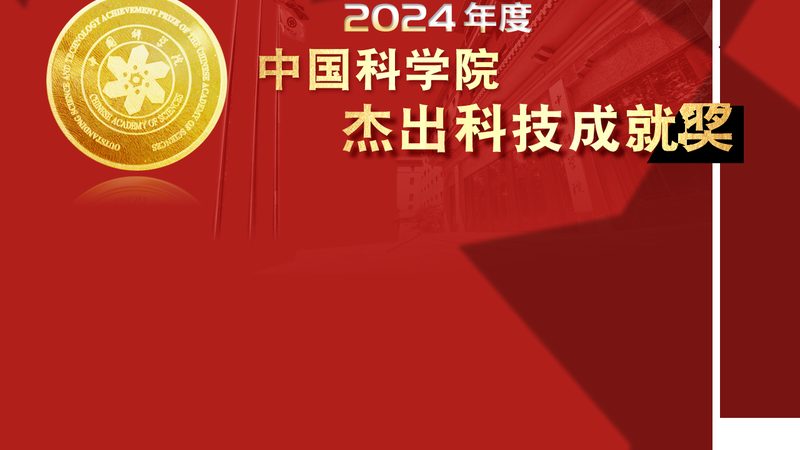 数据定制服务：价格背后的考量因素